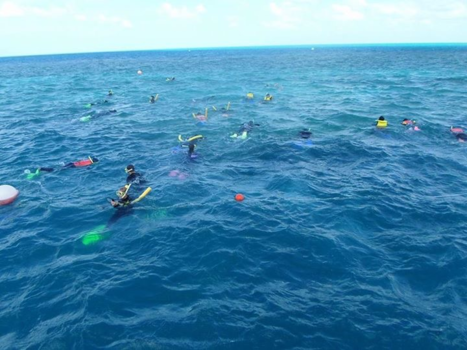 Victoria (Australië) - Snorkelen/ duiken in het Great Barrieer reef