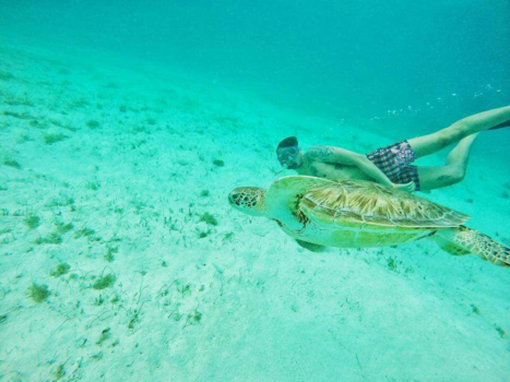 Caribbean Gardens - Happy Son!