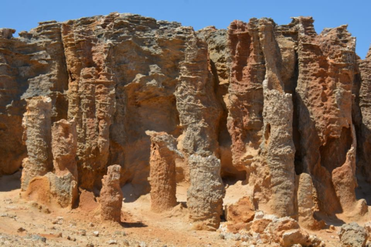 Victoria (Australië) - Versteende bos