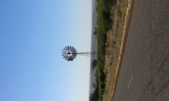 Rondreis westkust Australië - Een blik in de verte