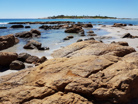 Tasmanië - BICHENO - Tasmanie