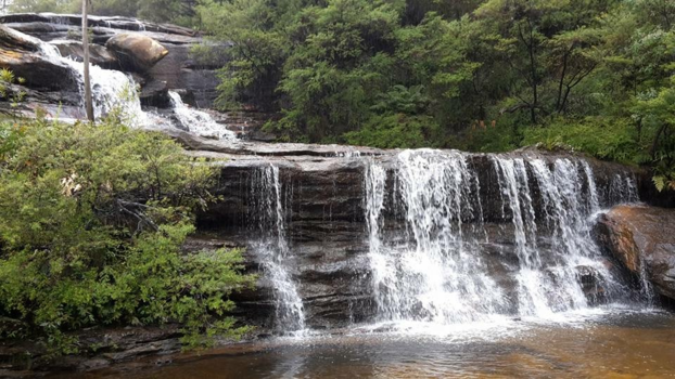 Blue Mountains - Charles Darwin National Park