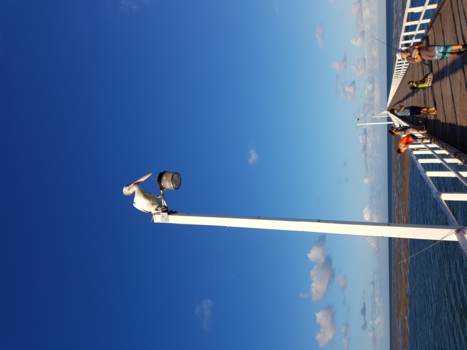 Queensland - Wachtend op een maaltje........