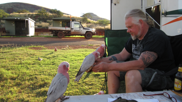 Western Australia - Feeding the birds