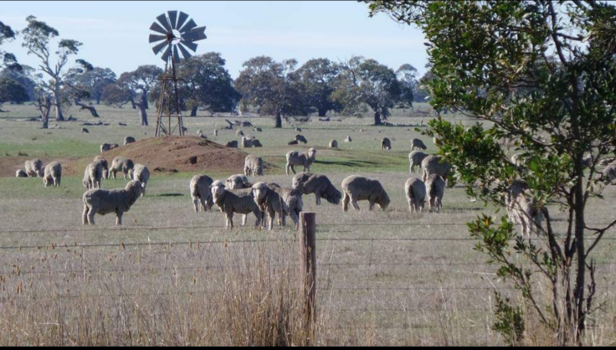 Victoria (Australië) - Countryside Australië