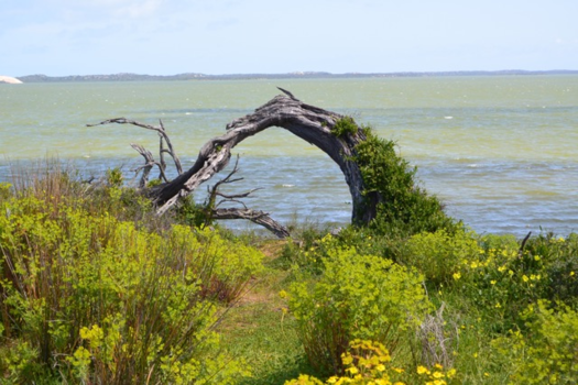 Great Ocean Road - Doorkijk