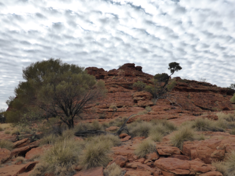 Kings Canyon - Adembenemende luchten