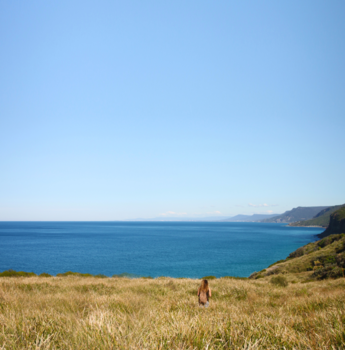 Royal National Park - Camouflage