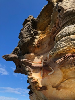 Sydney - Sydney Hunter Parc, Bondi