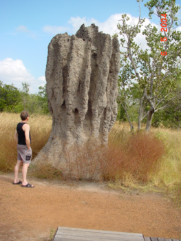 Kimberley (Australië) - Termietenheuvels