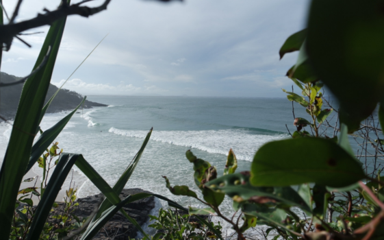 Noosa National Park - Noosa National Park