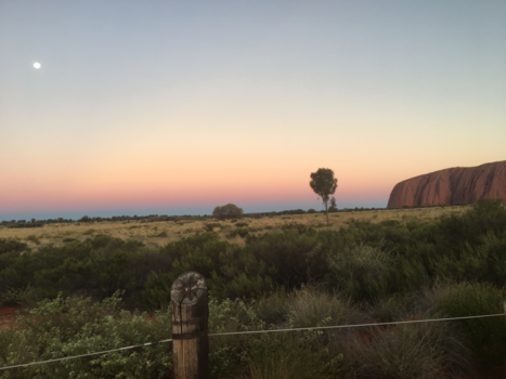 Outback - Zonsondergang uluru
