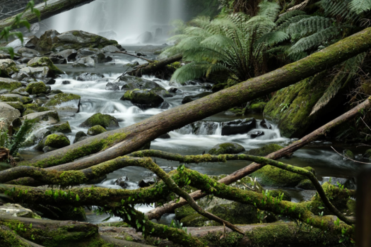 Great Ocean Road - Hopetoun Falls, Otway National Park, Victoria, Australia