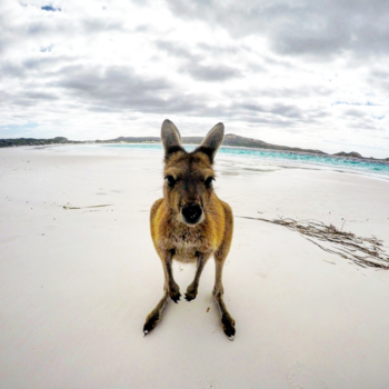 Western Australia - Hi there