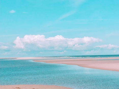 Sydney - Brand new day