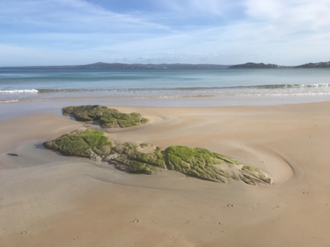 Victoria (Australië) - Eden