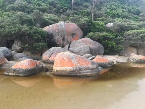 Victoria (Australië) - Wilson’s Promontery