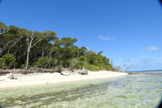 Queensland - Green Island