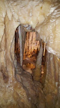 Perth - The wonderful world of Ngilgi