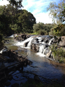 Western Australia - Margaret river region