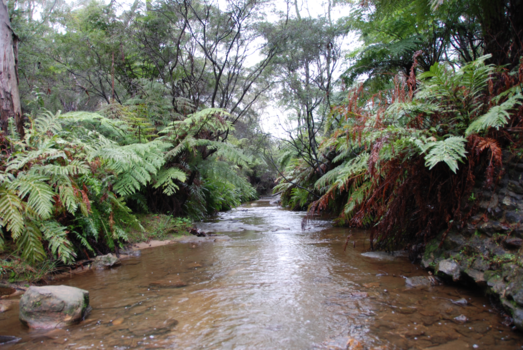 Brisbane - Een greep uit mijn collectie