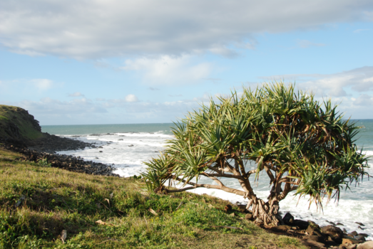 Brisbane - Een greep uit mijn collectie
