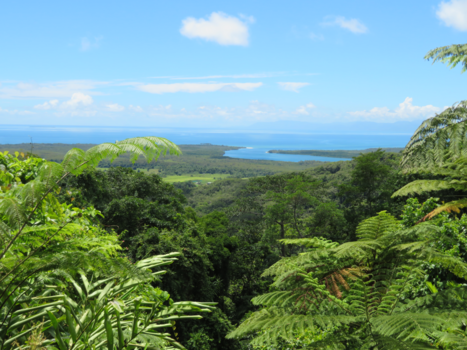Cape Tribulation - Uitzichtpunt met in de verte Daintree river