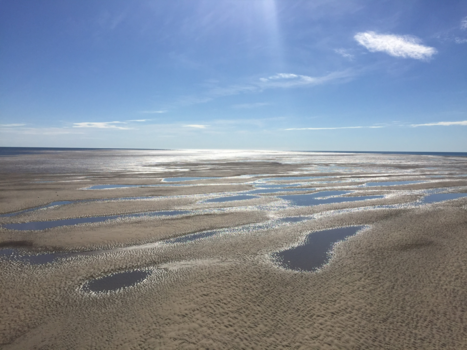 Queensland - Een van de vele gezichten van Australië
