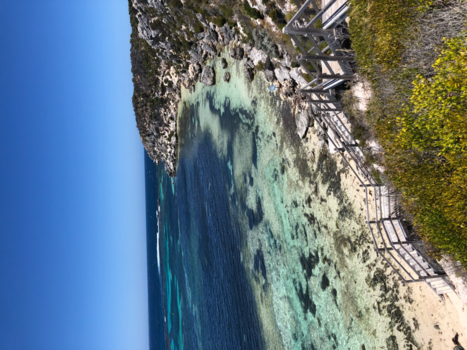 Rottnest Island - Rottnest island