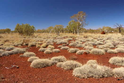 Western Australia - De Kimberley's