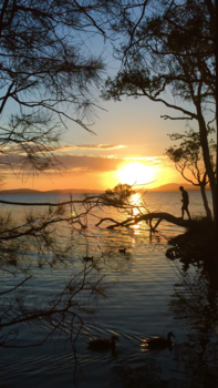 New South Wales - Magische zonsondergang in Hawks nest
