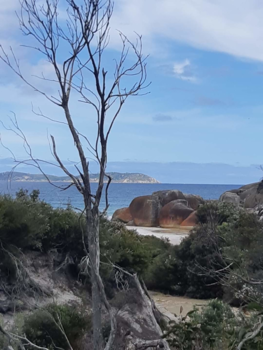 New South Wales - Sqeaky beatch