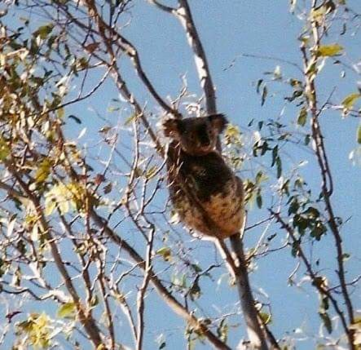 Queensland - Wandelen in Queensland