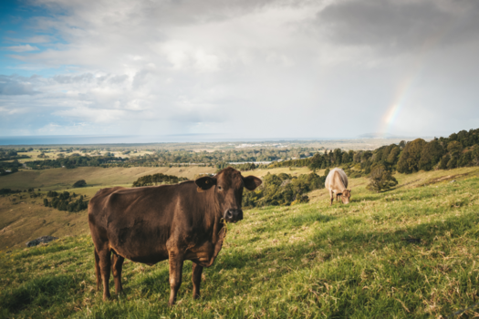 Byron Bay - Let's chase rainbows
