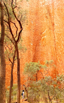 Rondreis door de Red Centre - Petit Pierre @Uluru