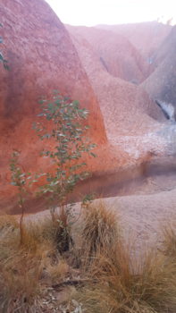 Uluru (Ayers Rock) - Wát een prachtige omgeving!