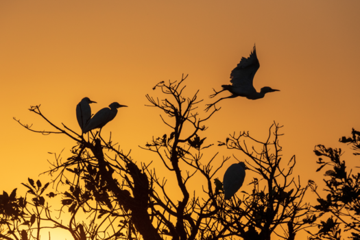 Kakadu National Park - Perfecte timing bij zonsopgang