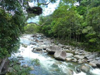 Daintree National Park - Niet zwemmen!