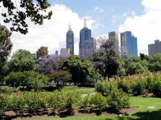 Melbourne - Queen Victoria Garden met de Skyline van de stad.