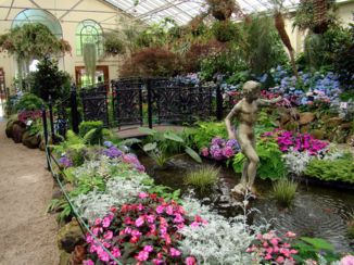 Melbourne - de bloemenpracht in de binnentuin van het Concervatory in Fitzroy Gardens