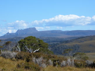 Tasmanië - Craddle Mountain