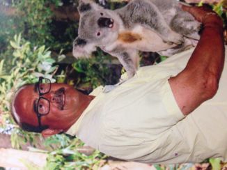 Gold Coast - Ja de koala beer mag niet ontbreken