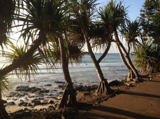 Noosa National Park - Noosa National Park