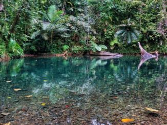 Cape Tribulation - Billabong
