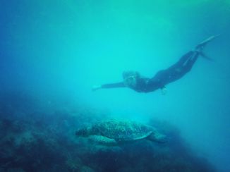 Cape Tribulation - Turtle Rock