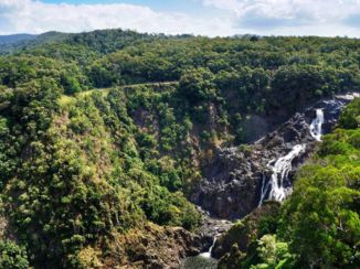 Cape Tribulation - Uitzicht over het regenwoud