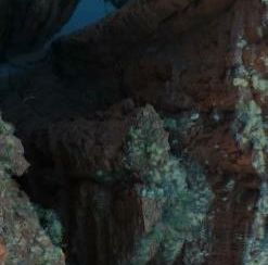 Karijini National Park