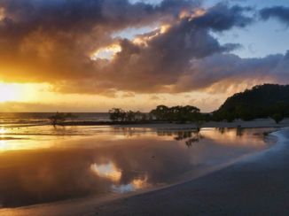 Queensland - Cape Tribulation
