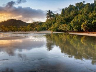 Australie - Cape Tribulation