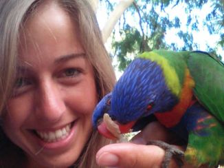 Australie - Paradijsvogels @ Magnetic Island